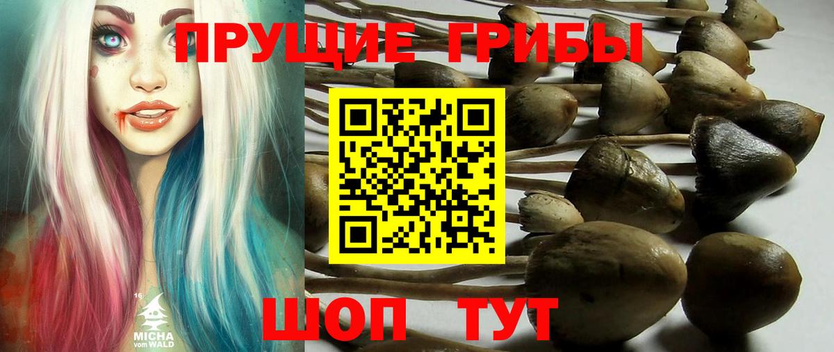 Конопля Гудермес