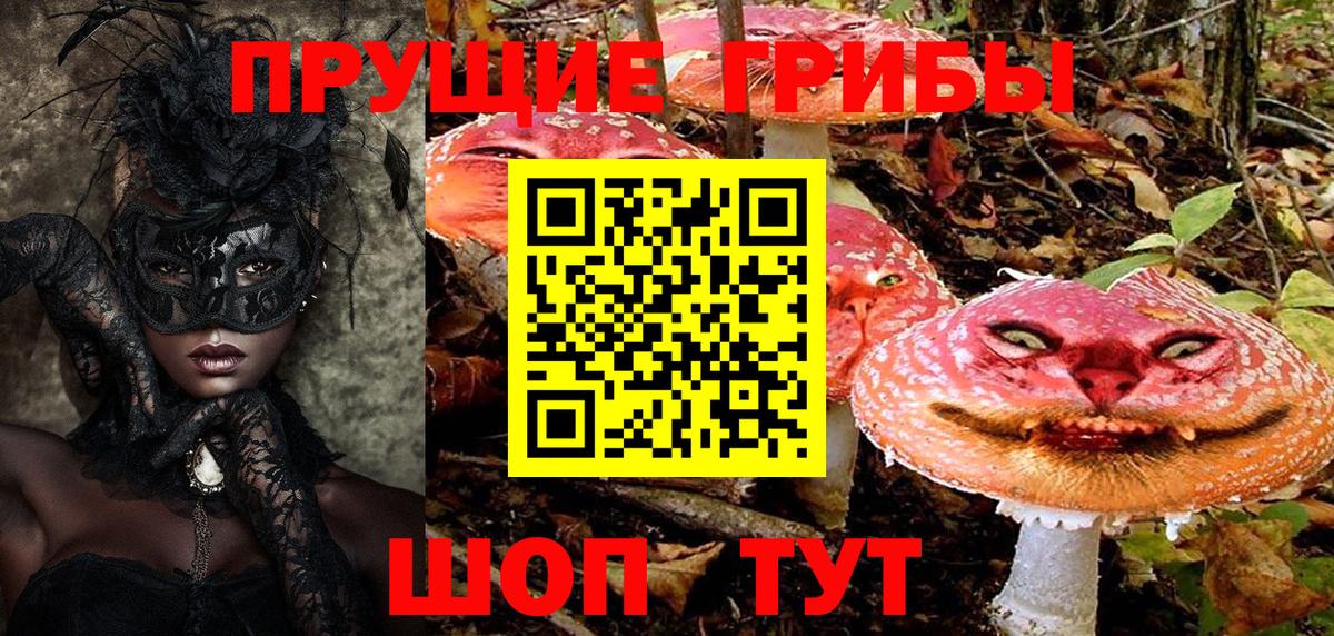 Гудермес  Галлюциногенные грибы Psilocybine cubensis  купить наркотик  Вход с VPN 